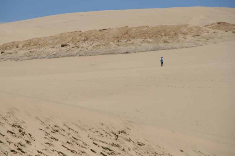 Nieuw-Zeeland 2011 - 0368